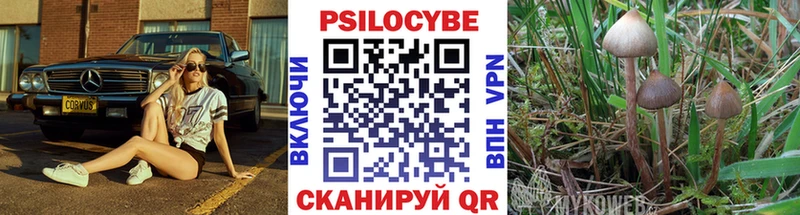 Галлюциногенные грибы ЛСД  Плавск 